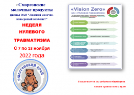 Неделя нулевого травматизма с 7 по 13 ноября 2022 года